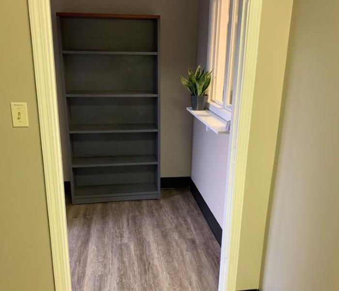 Office room with office window, taupe walls, new floor, grey shelving, and office plant.